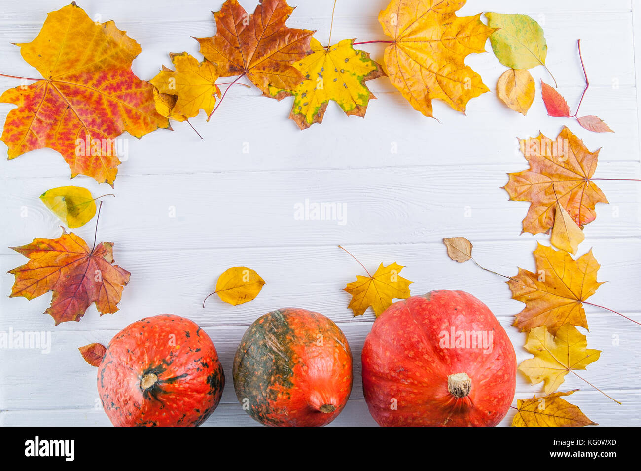 Harvest or Thanksgiving background with frame of autumnal leaves and ...