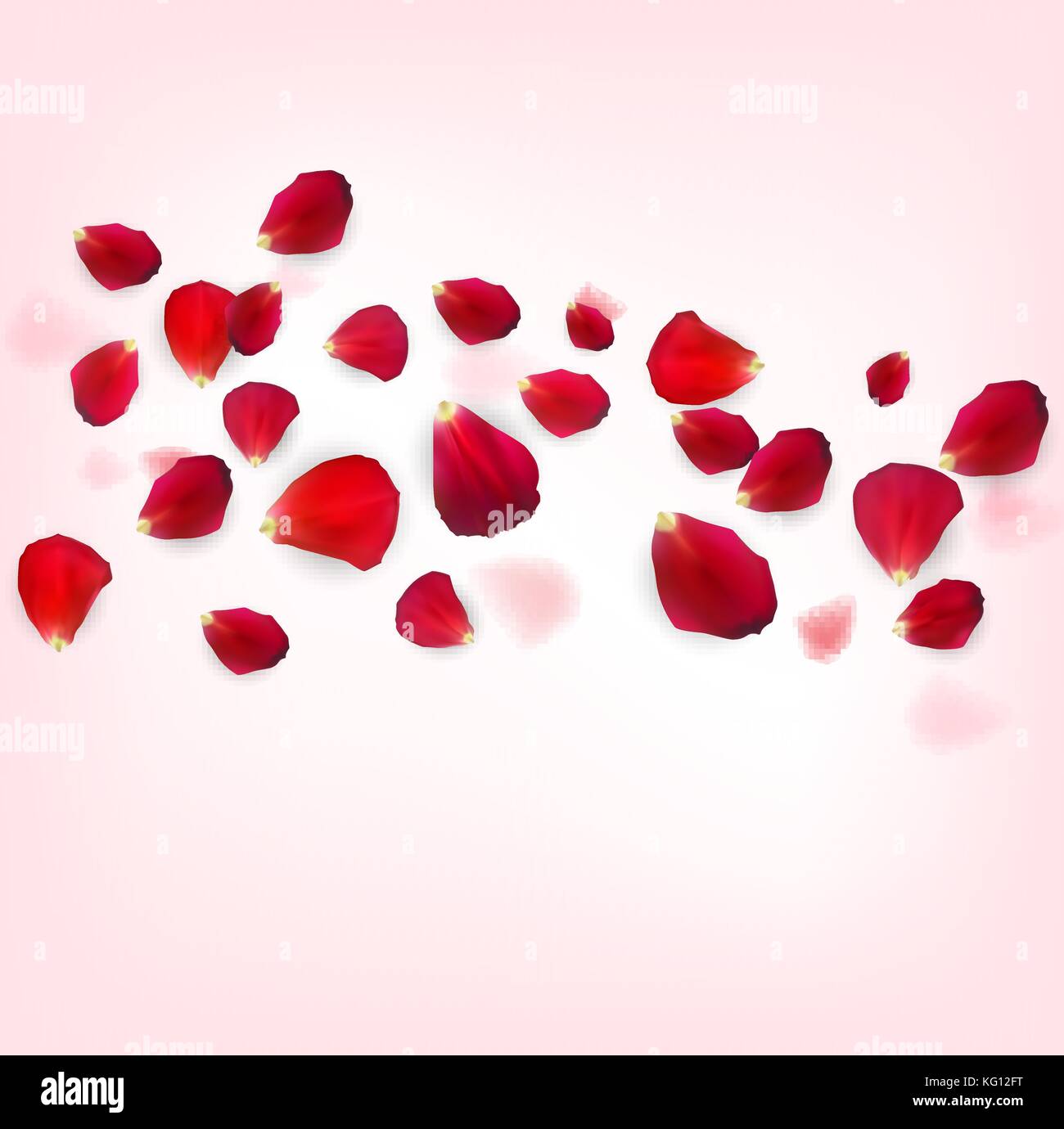 Background of Naturalistic Rose Petals. Vector Illustration Stock Vector