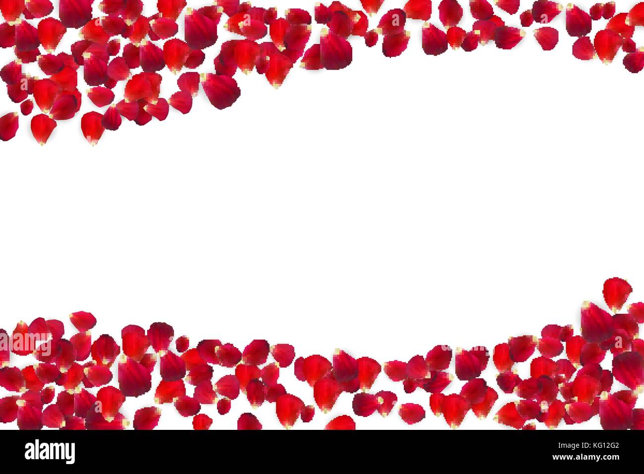 Background of Naturalistic Rose Petals. Vector Illustration Stock Vector