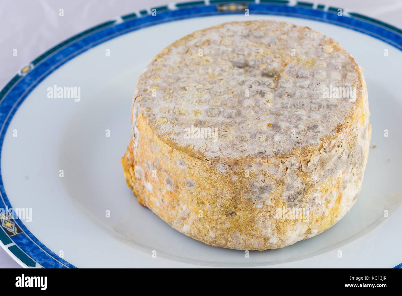 The form of hard cheese of a bloomy rind goat's milk, frost crust ...