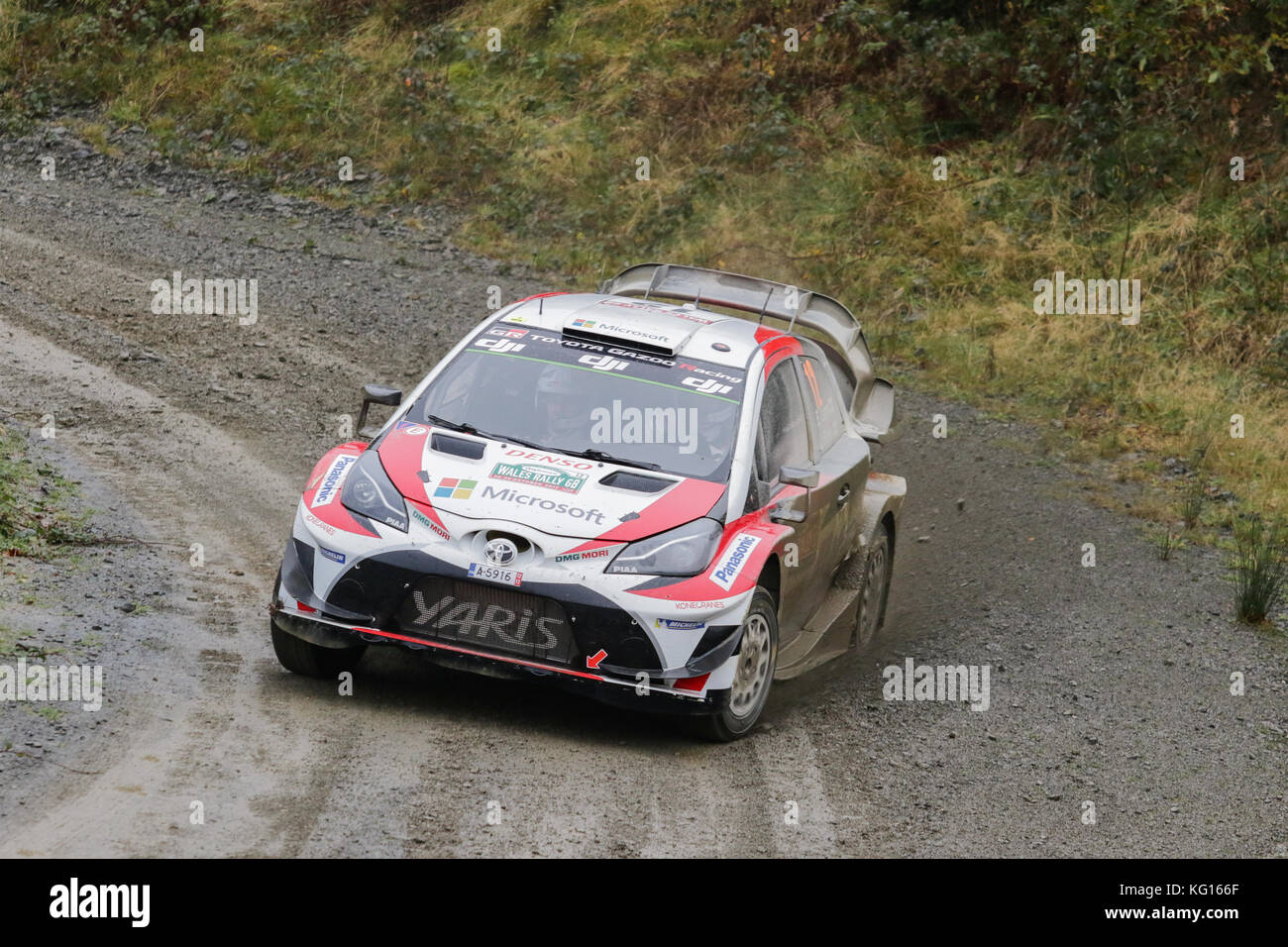 Esapekka Lappi and co-driver Janne Ferm in Toyota Yaris WRC number 12. Dyfi Forest Stage, Wales Rally GB 2017. Stock Photo