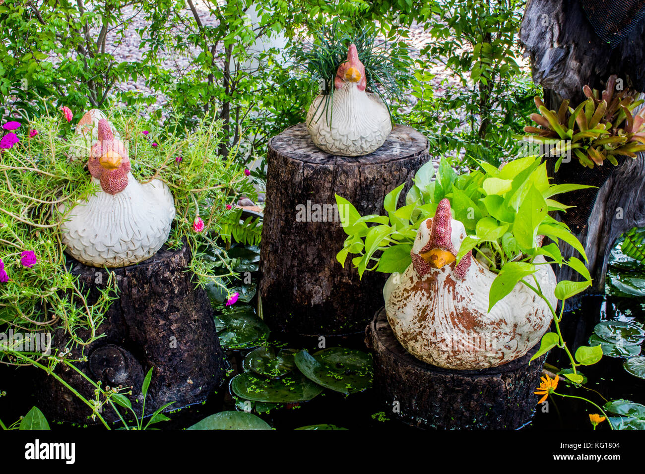Golden pothos and flowers in flowerpot chicken statue for landscape gardening in the pool. Stock Photo