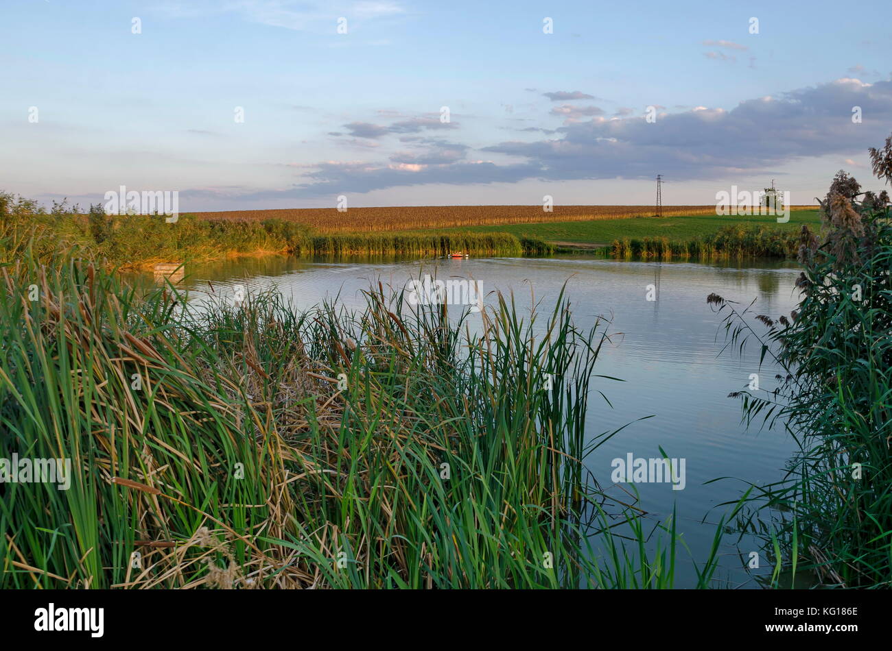 Picturesque landscape with view of the lake in a autumnal field in Ludogorie area, Zavet, Bulgaria Stock Photo