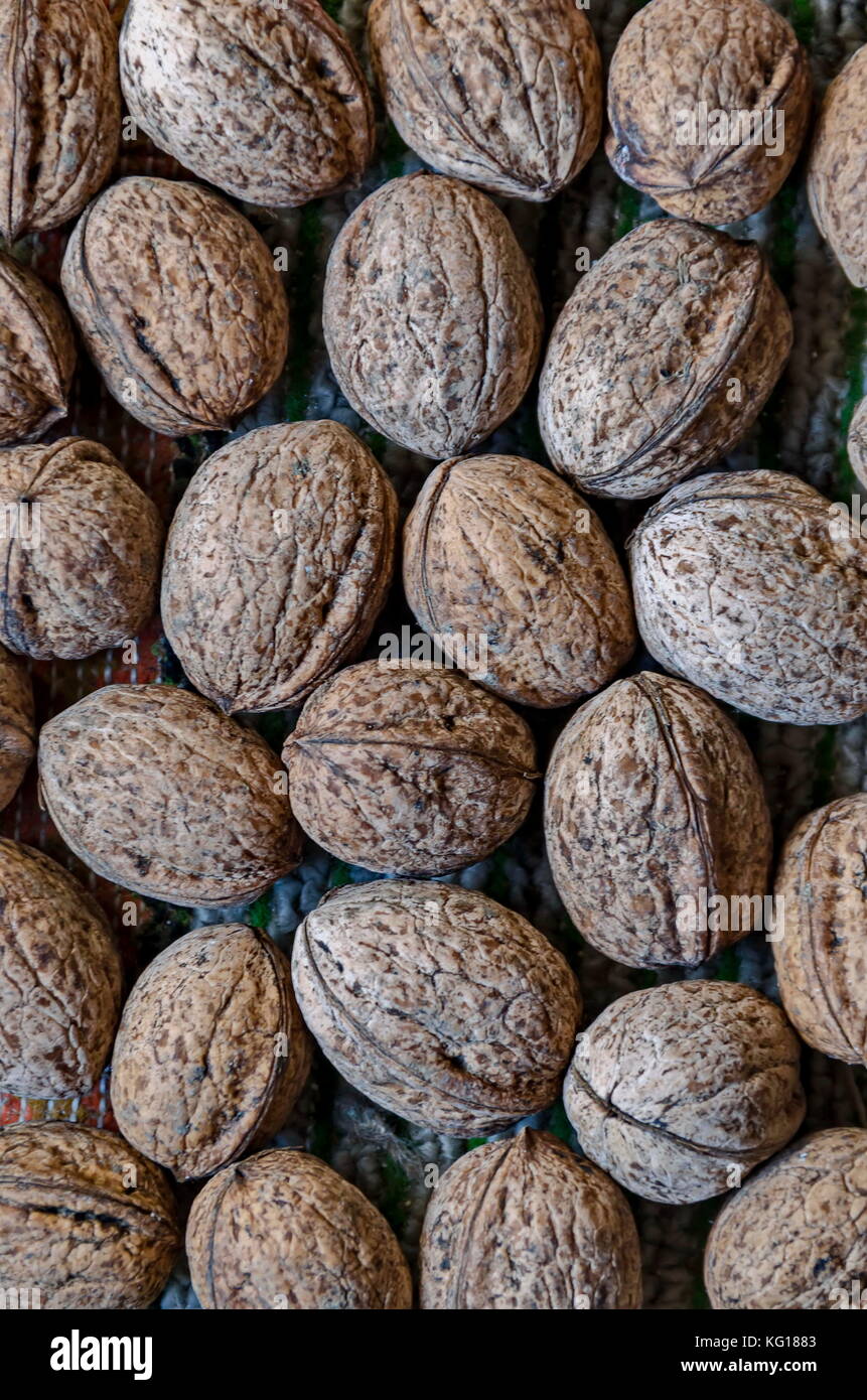 Stack of ripe walnuts fruits of the whole from field ready to eat, Zavet, Bulgaria Stock Photo