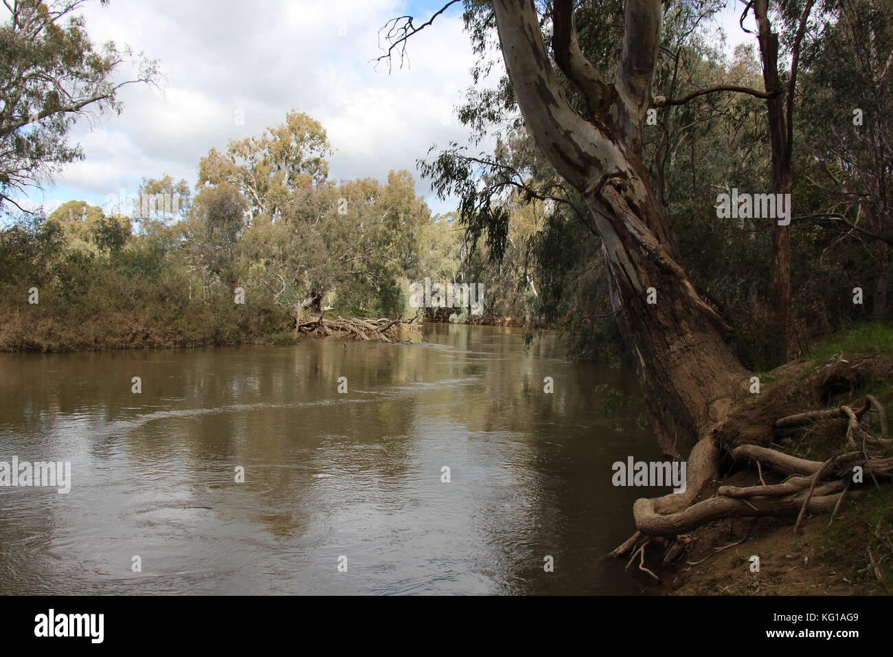 Australia, Victoria, Harrietville, Ovens River Stock Photo - Alamy