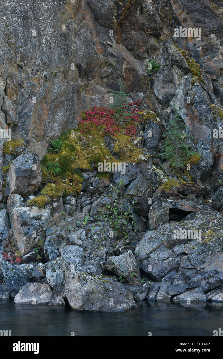 Rancheria Falls, Rancheria River, waterfall, river, Yukon, Canada Stock