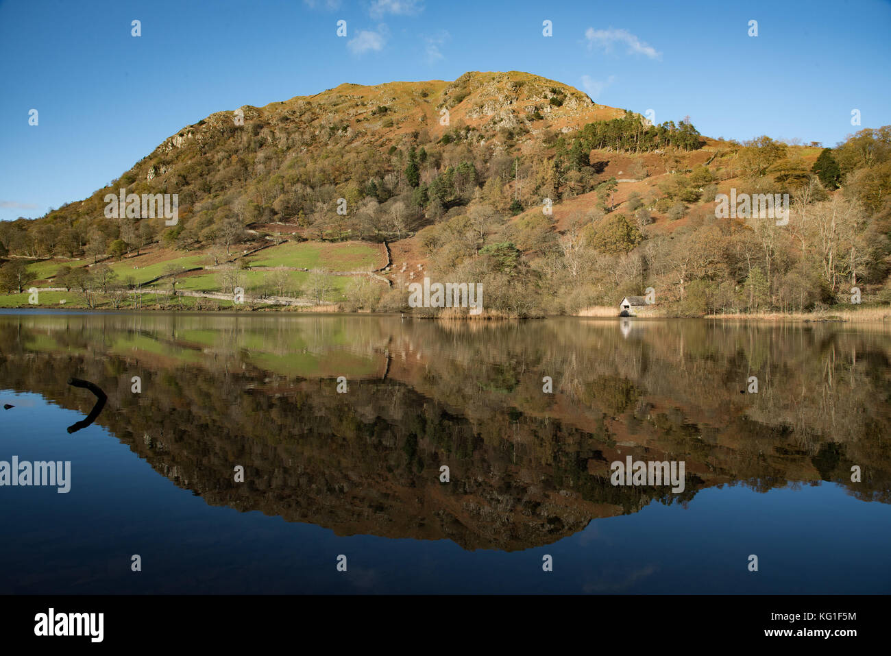 Lake District. 2nd Nov, 2017. UK Weather. The last colours of autumn as the last of the leaves fall at Rydal Water in the Lake District on a beautiful sunny day. Credit: John Eveson/Alamy Live News Stock Photo