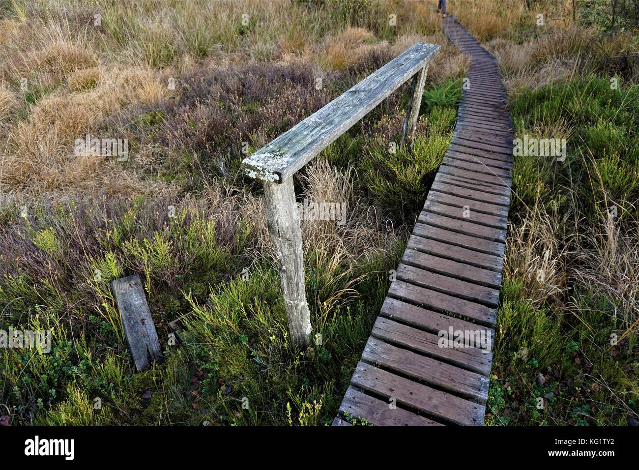 unknown path with guard railing Stock Photo
