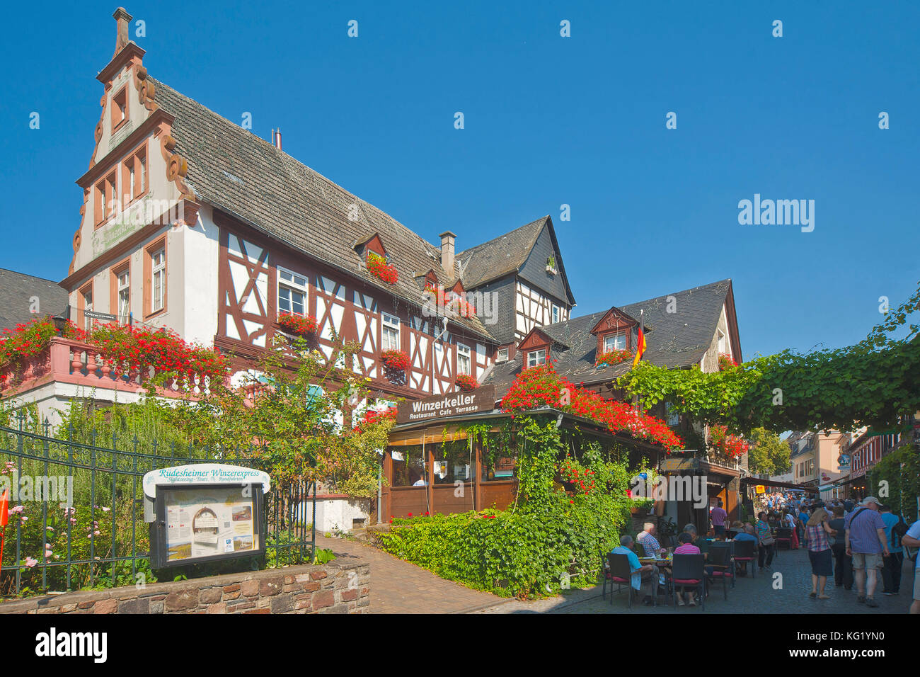 Germany, Hesse, Ruedesheim, Rheingau, Rüdesheim, Rheingau, Hessen ...