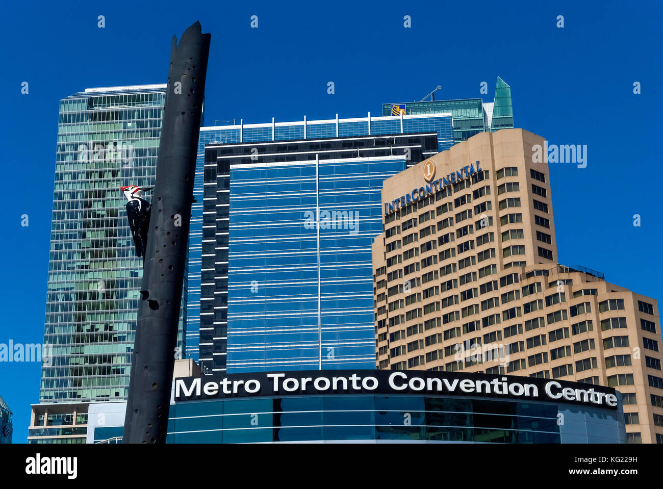 Toronto, Ontario, Canada :  'Woody Woodpecker' at Metro Toronto Convention Centre - Intercontinental Hotel ua  Kanada Stock Photo