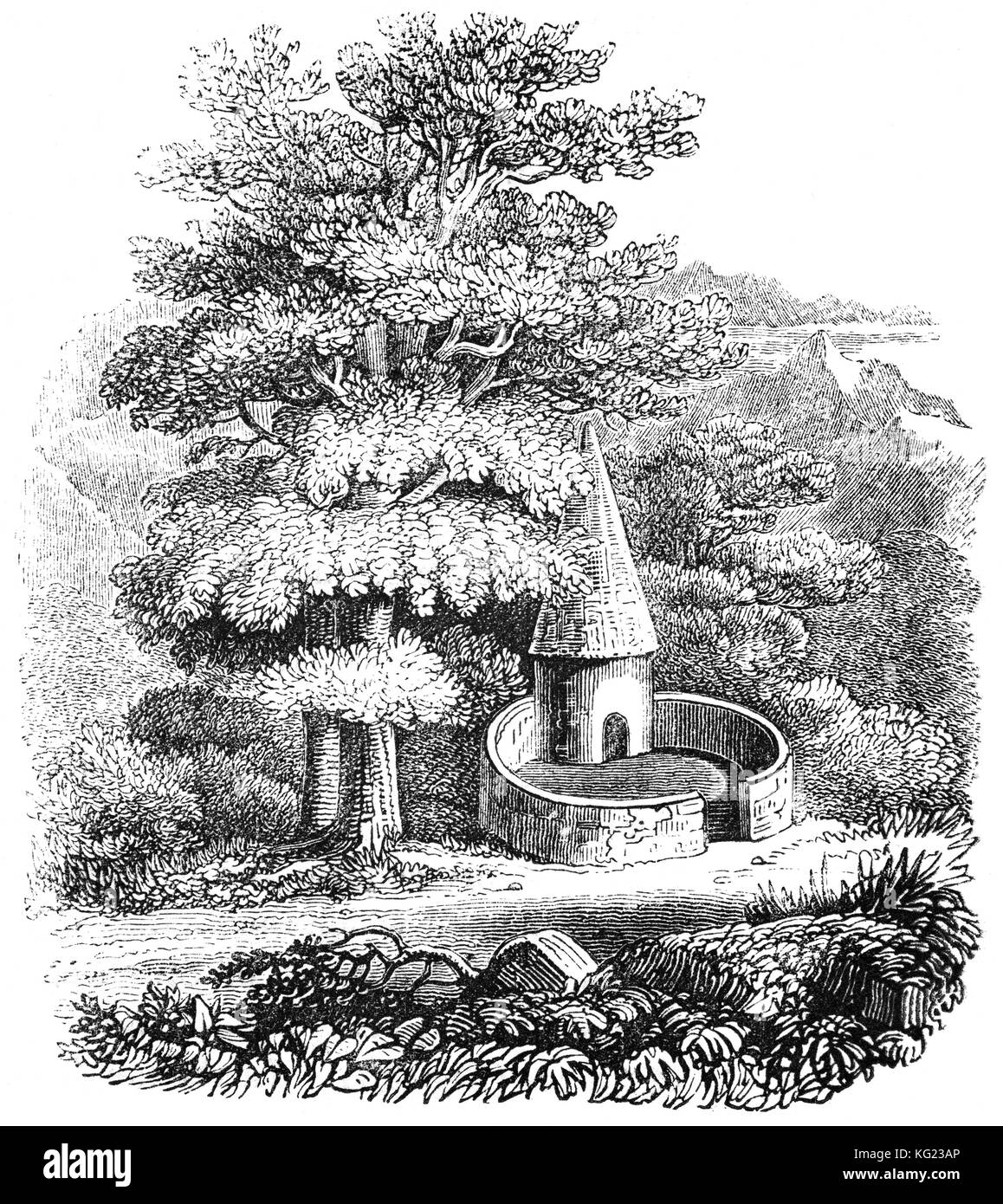 Circular pigsties were once common in south Wales. Most were probably built towards the end of the 18th century and during the early decades of the 19th century. The walls are of dry-stone construction and roof is corbelled - where each circle of stonework is gradually reduced until a dome-shaped structure is formed. United Kingdom Stock Photo