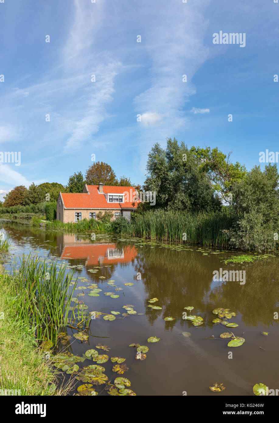 House at a canal with water lilies, Maasland, ZuidHolland Netherlands
