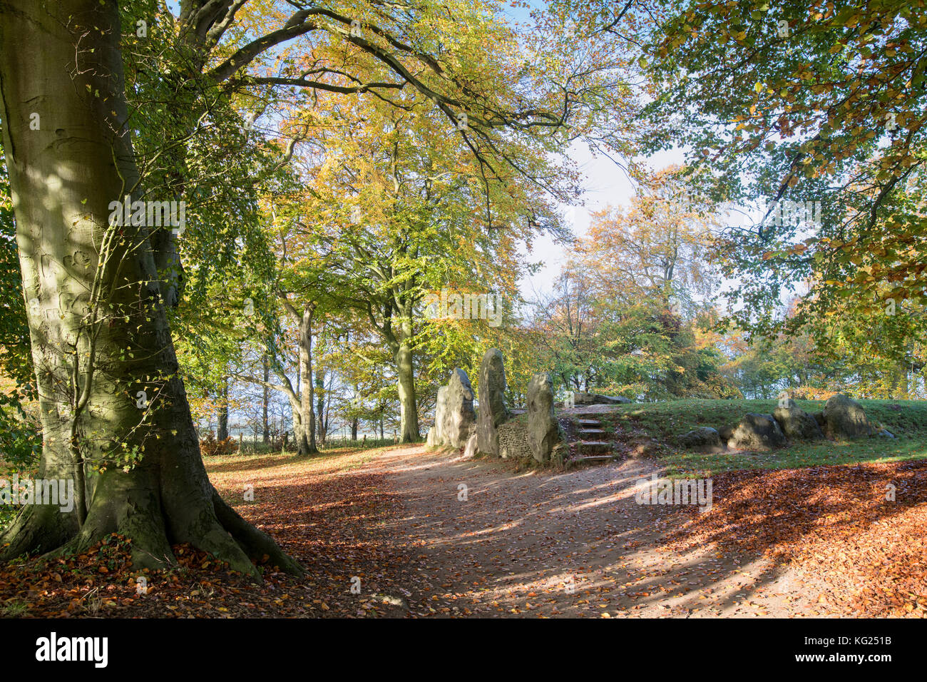 Waylands Smithy in the autumn morning sunlight. Neolithic chambered ...