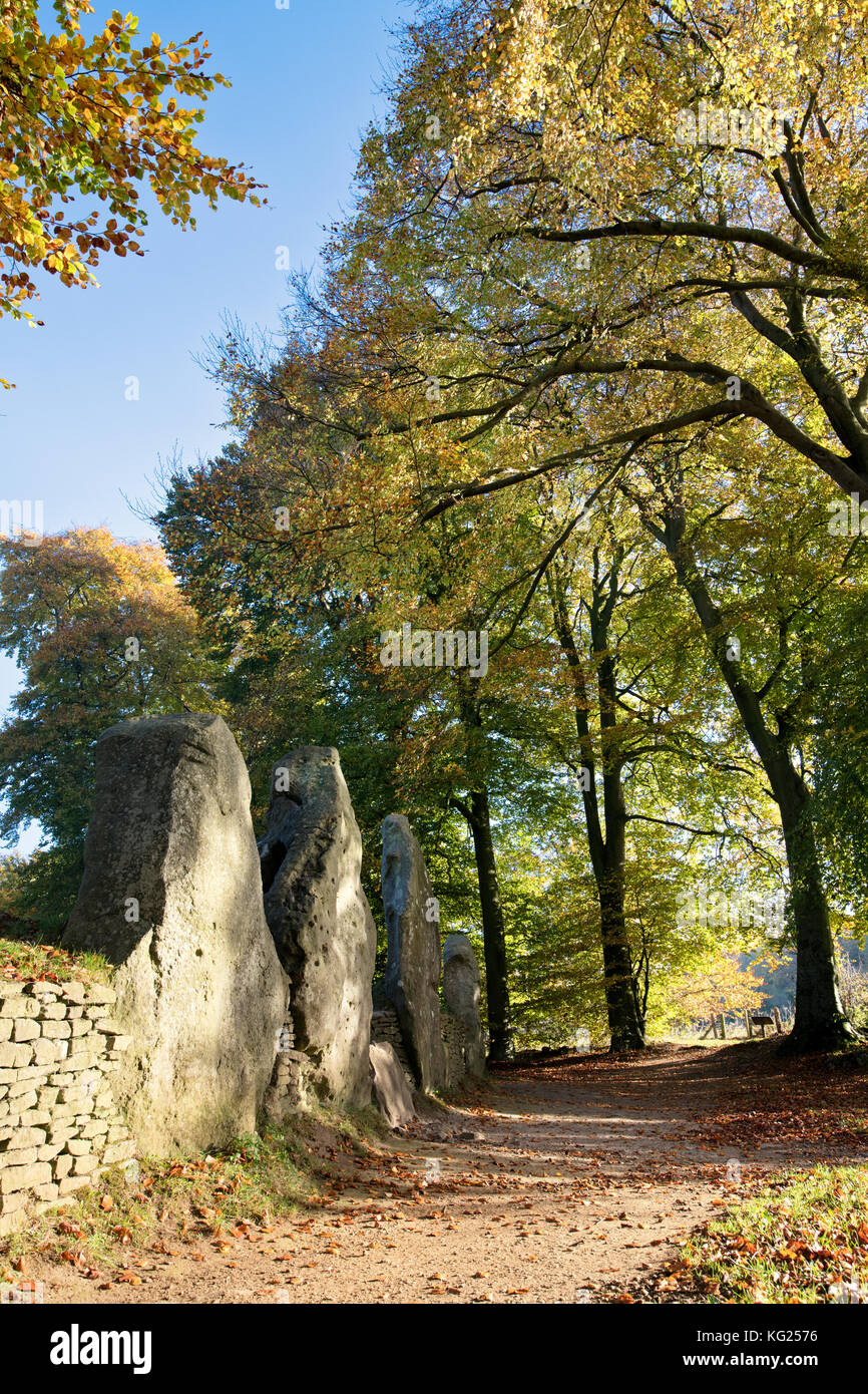 Waylands Smithy in the autumn morning sunlight. Neolithic chambered