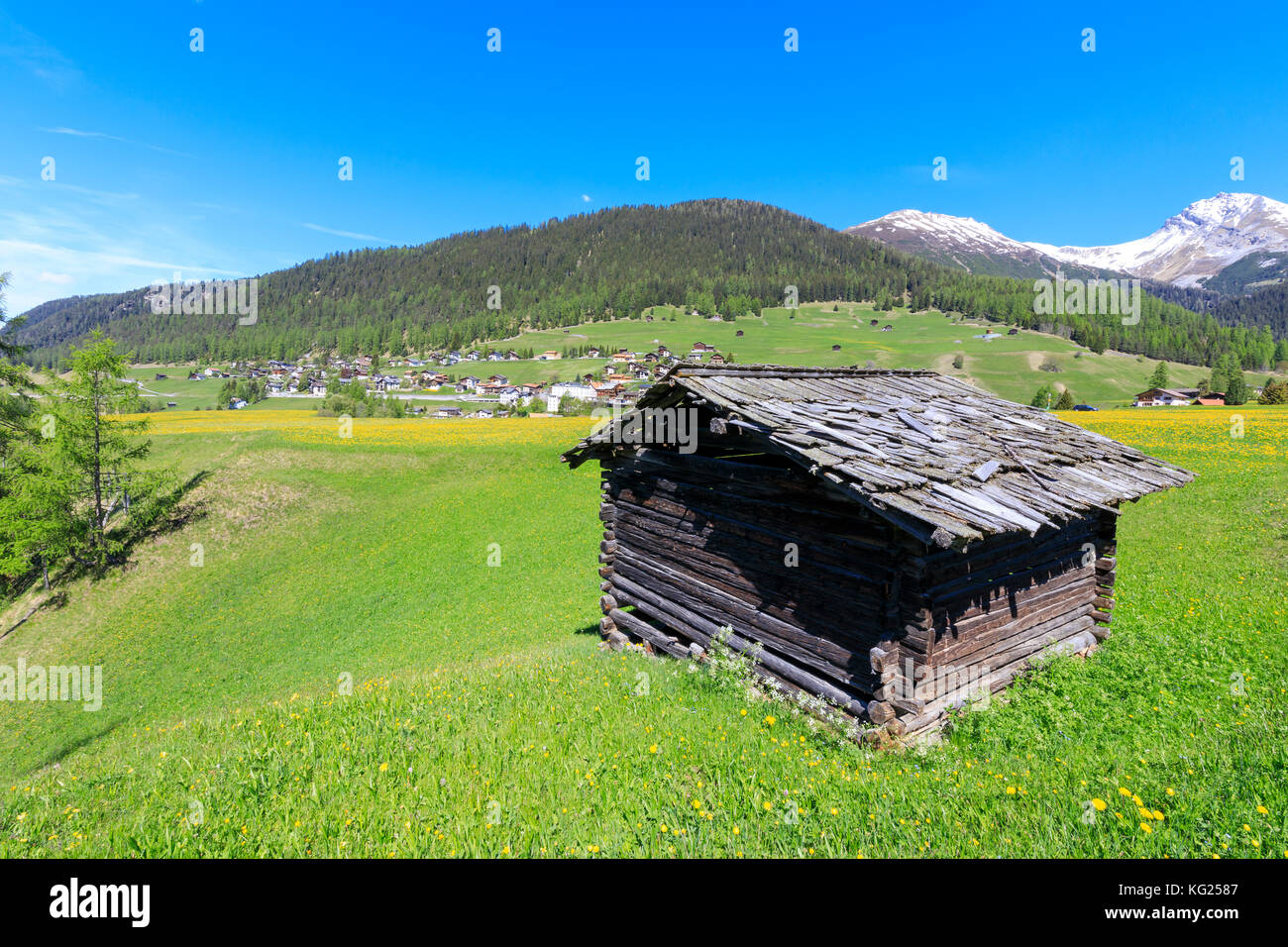 Alpine hut in the green meadows, Davos Wiesen, Canton of Graubunden, Prettigovia Davos Region, Switzerland, Europe Stock Photo