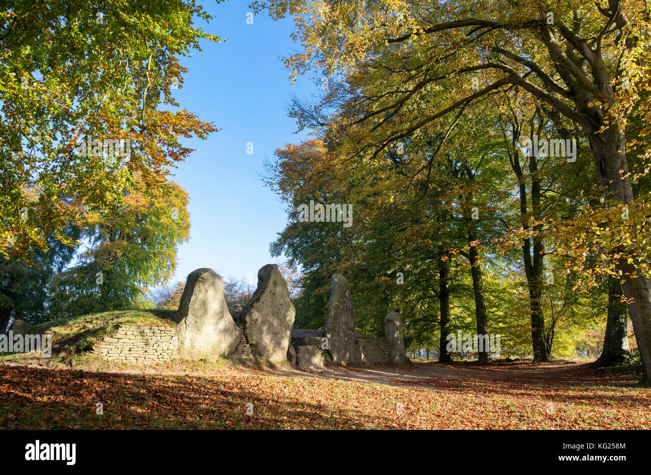 Waylands Smithy in the autumn morning sunlight. Neolithic chambered ...