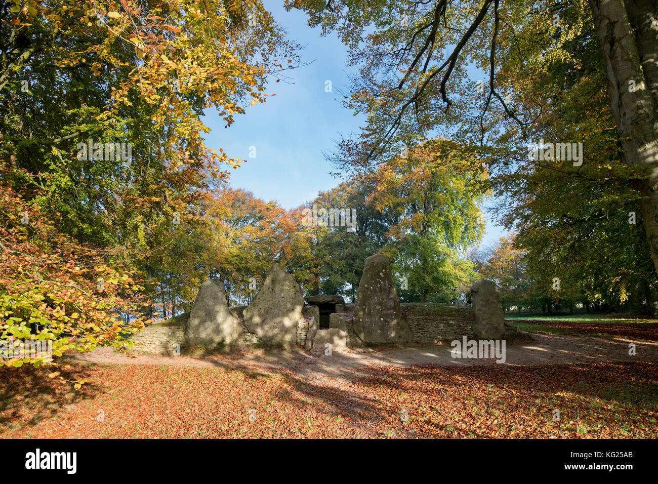 Waylands Smithy in the autumn morning sunlight. Neolithic chambered ...