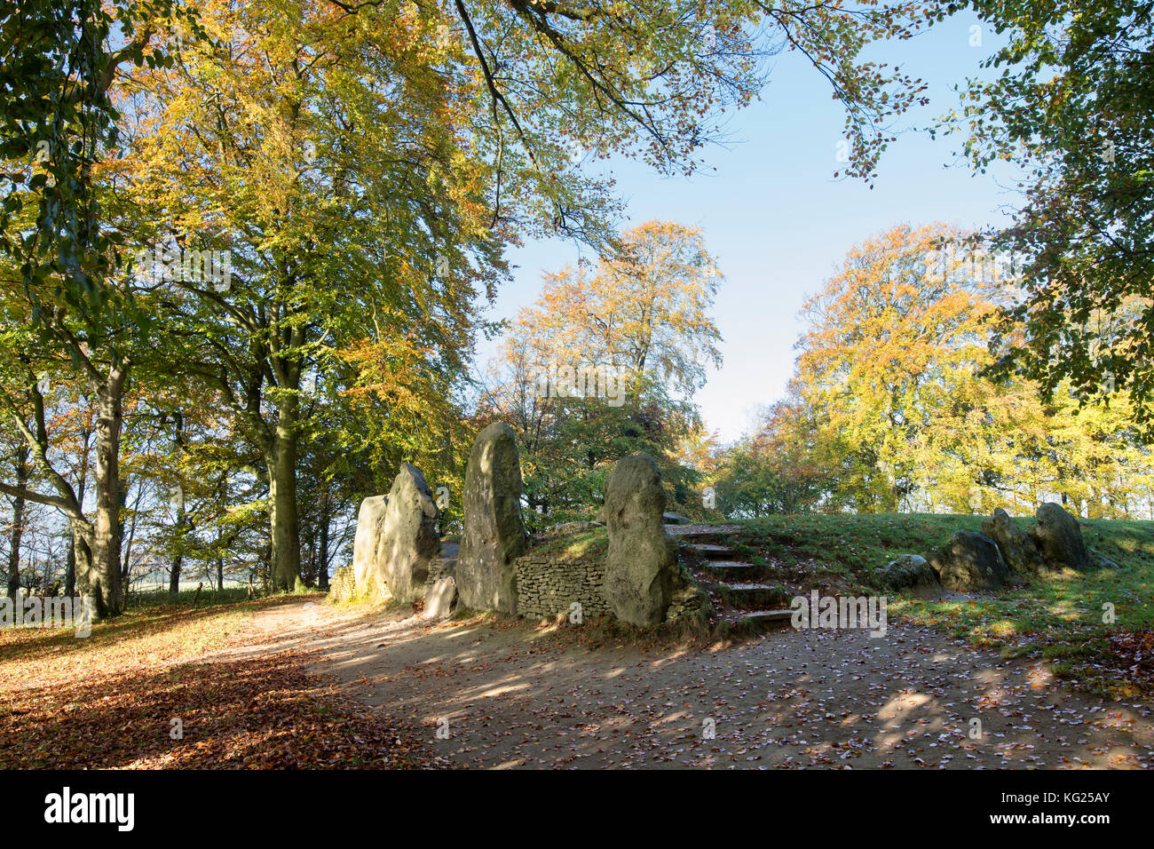 Waylands Smithy in the autumn morning sunlight. Neolithic chambered ...