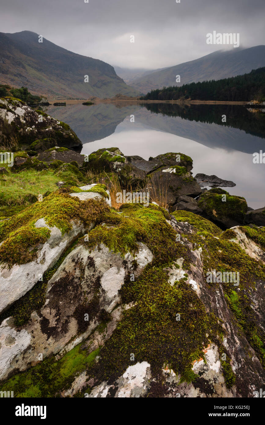 Moss covered rock, mountains and reflections in Cummeenduff Lake, Black Valley, Killarney, County Kerry, Munster, Republic of Ireland, Europe Stock Photo
