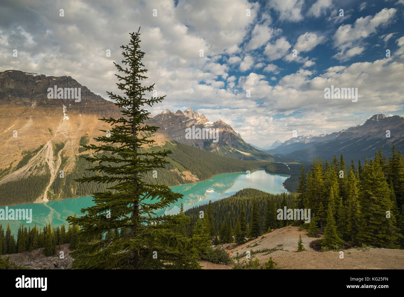 Wide view of Peyto Lake, Banff National Park, UNESCO World Heritage Site, Alberta, Rocky Mountains, Canada, North America Stock Photo
