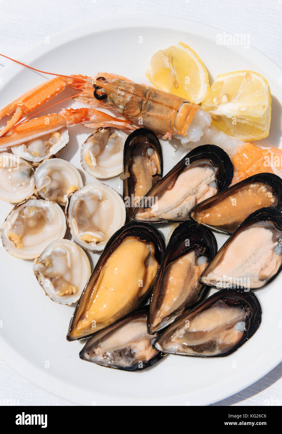 Traditional dish of di pesce crudo (raw seafood), Puglia, Italy, Europe Stock Photo