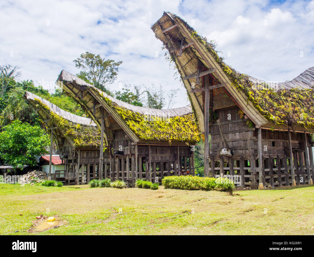 Traditional houses (tongkonan), Tana Toraja, Sulawesi, Indonesia, Southeast Asia, Asia Stock Photo
