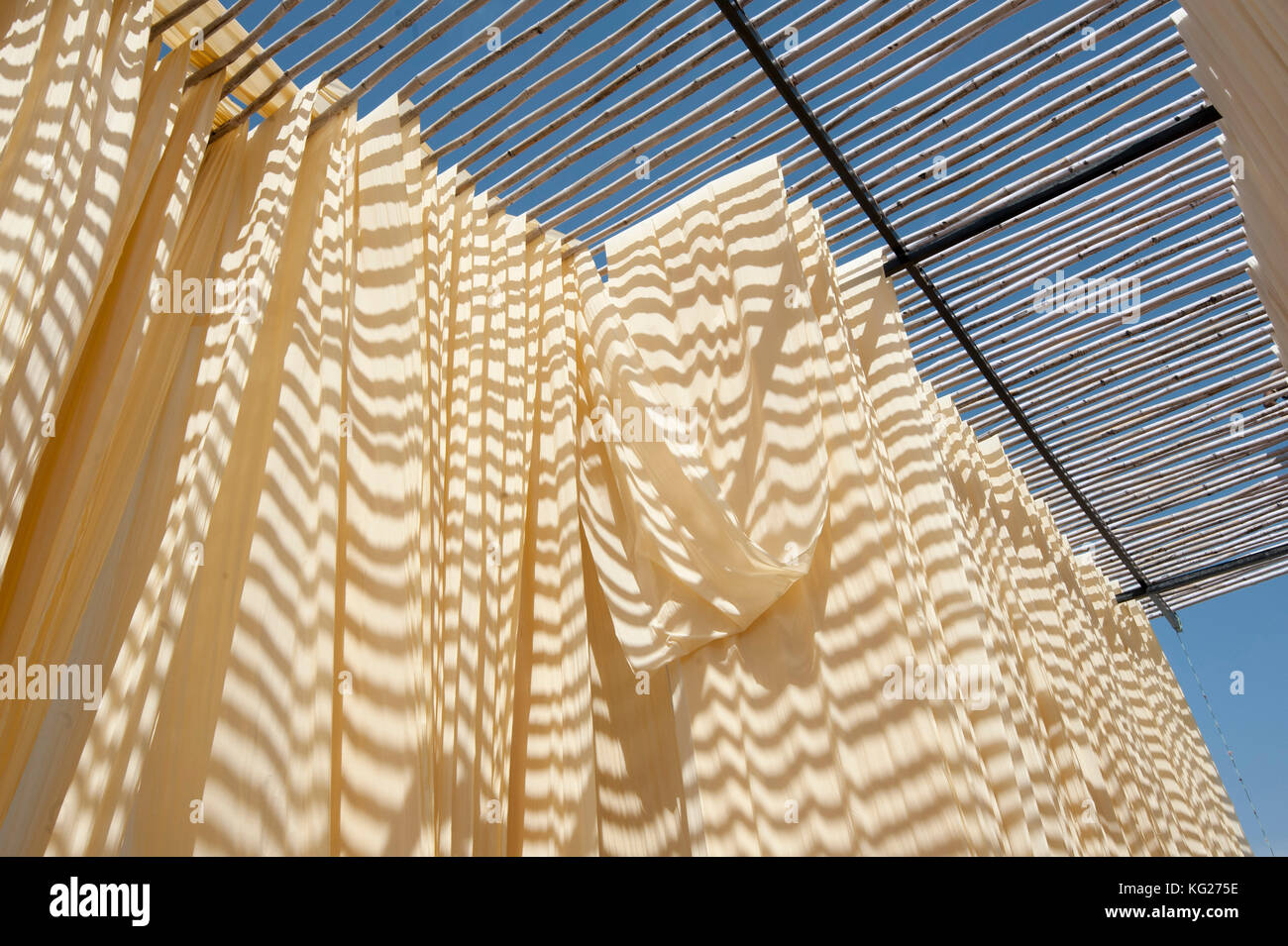 Washed bolts of cotton fabric hanging to dry on bamboo structure before being hand block printed, Bagru, Rajasthan, India, Asia Stock Photo