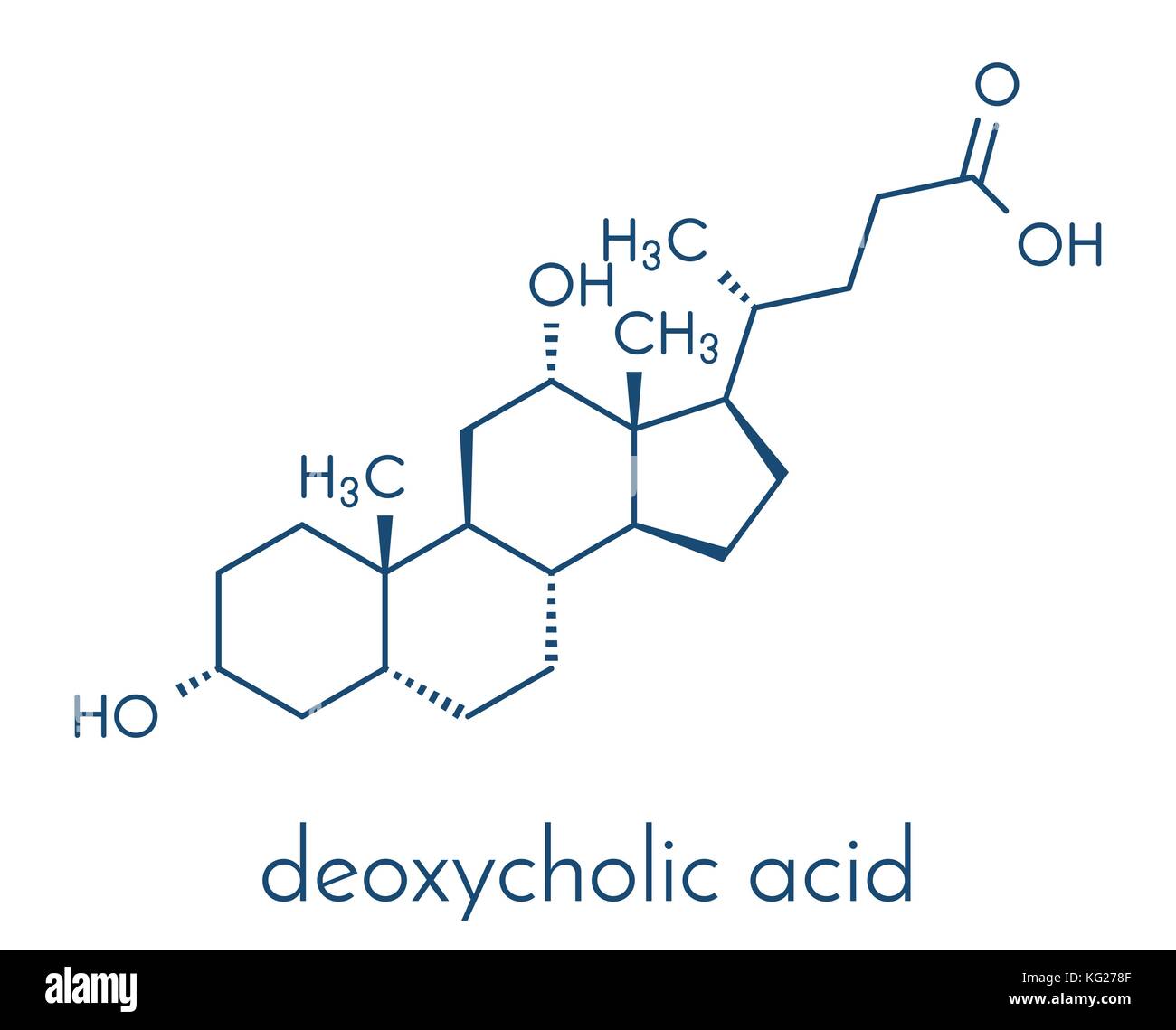 Deoxycholic acid bile acid molecule. Also used as drug. Skeletal formula  Stock Vector Image & Art - Alamy