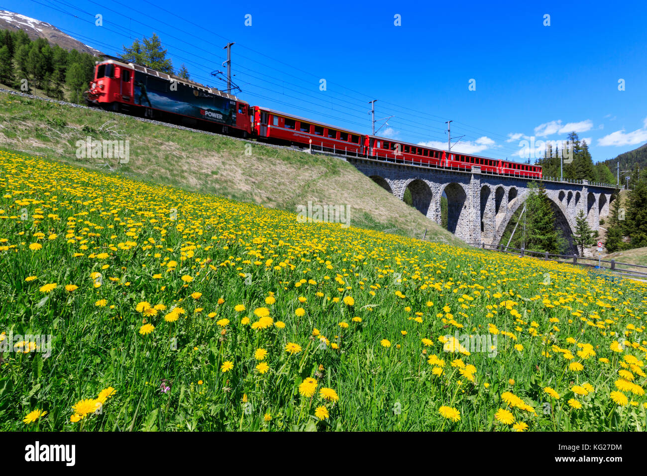 Bernina Express train on Cinuos-chel Viadukt in spring, St. Moritz, Majola, Canton of Graubunden, Switzerland, Europe Stock Photo