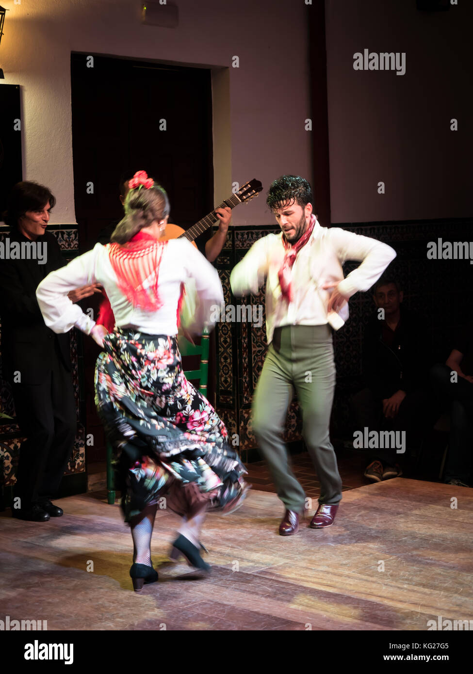 Flamenco dancers and musicians, La Casa del Flamenco, Seville (Sevilla), Andalucia, Spain, Europe Stock Photo