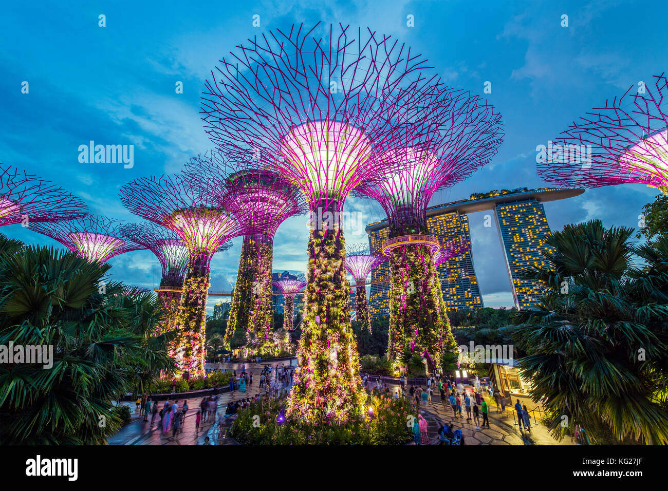 Singapore Gardens By The Bay Night Hi res Stock Photography And Images Singapore Gardens By The Bay Night Hi res Stock Photography And Images