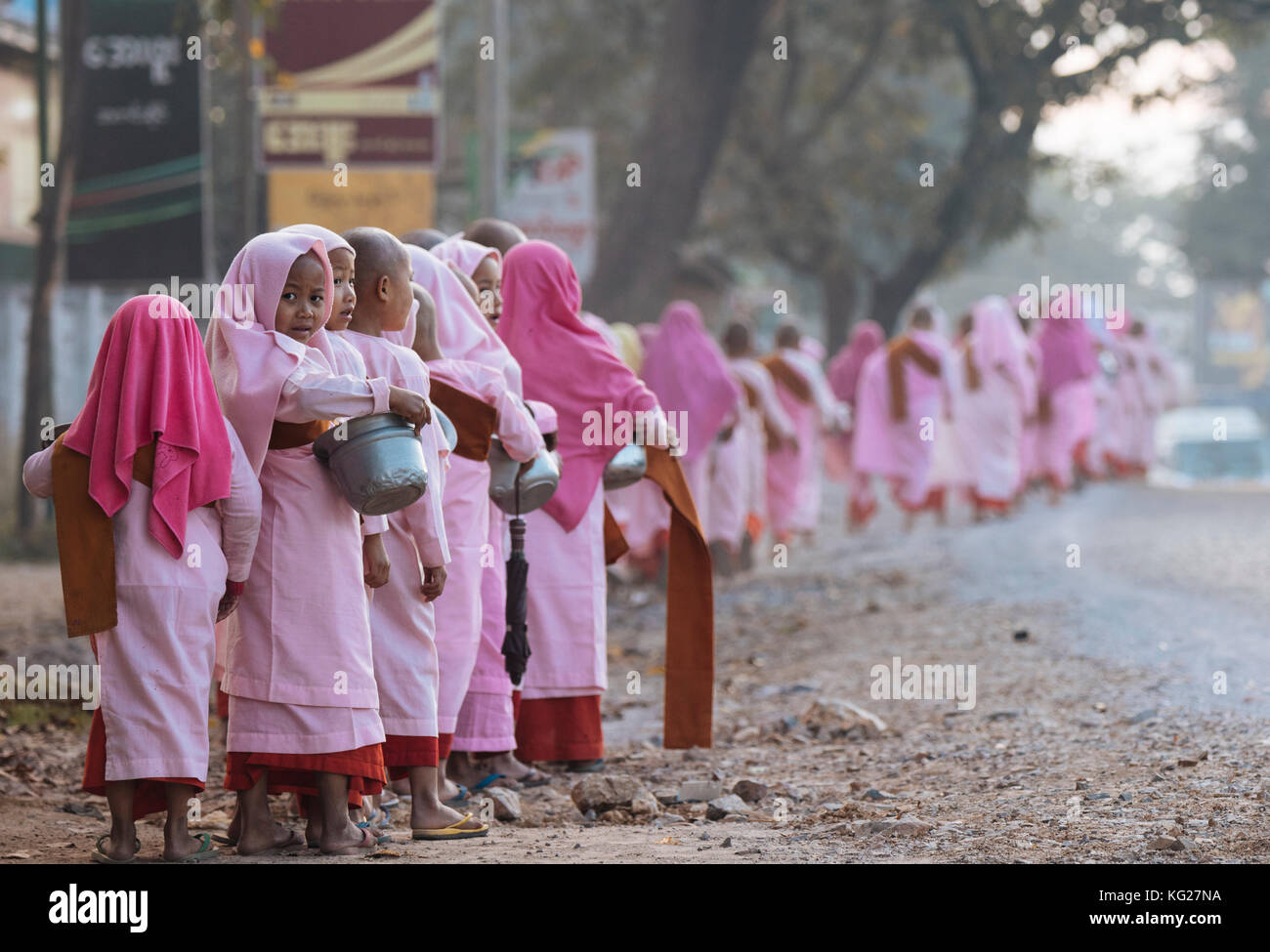 Buddhist nuns collecting alms in the early morning near Hsipaw, Shan State, Myanmar (Burma), Asia Stock Photo