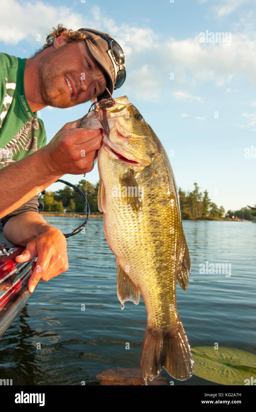 Largemouth bass hires stock photography and images Alamy