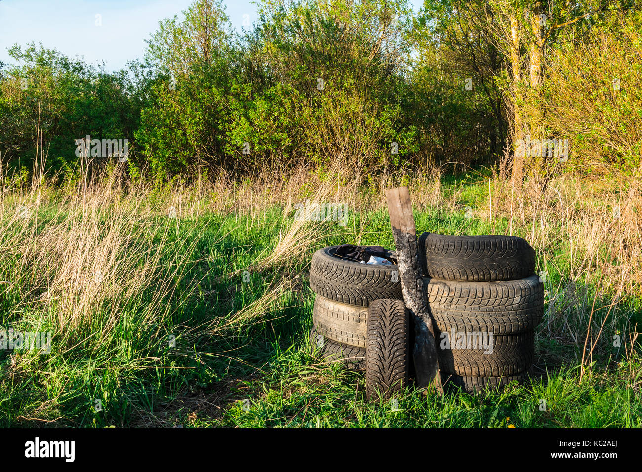A stack of old tires and charred plank on grass in forest at sunny day Stock Photo