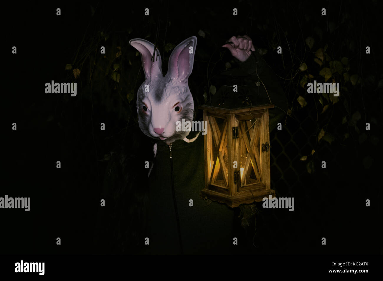 Download Bunny Mask High Resolution Stock Photography And Images Alamy PSD Mockup Templates