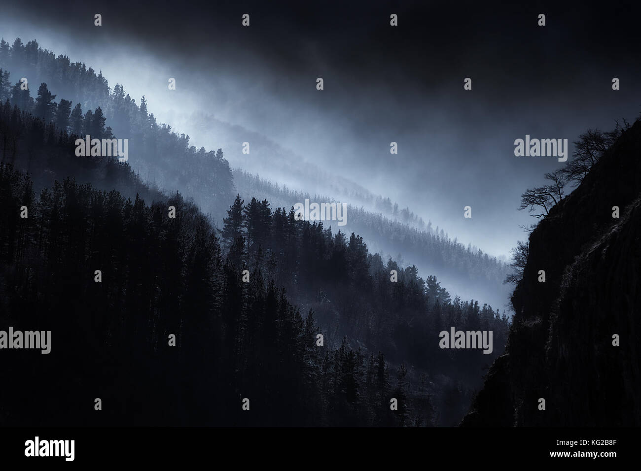 dark landscape with foggy forest Stock Photo - Alamy