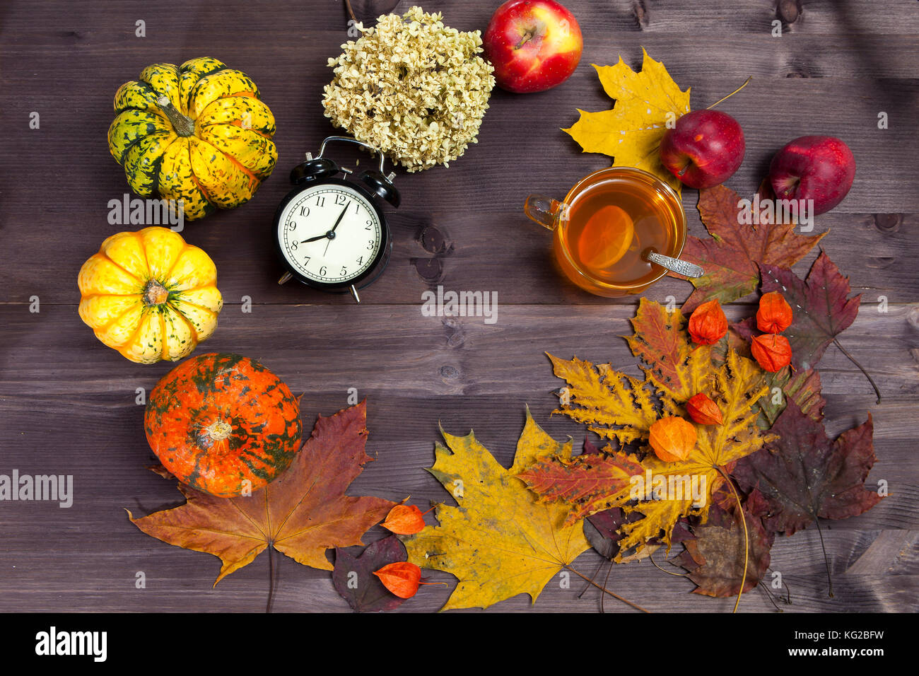 Autumnal vegetables and leaves on dark wood Stock Photo