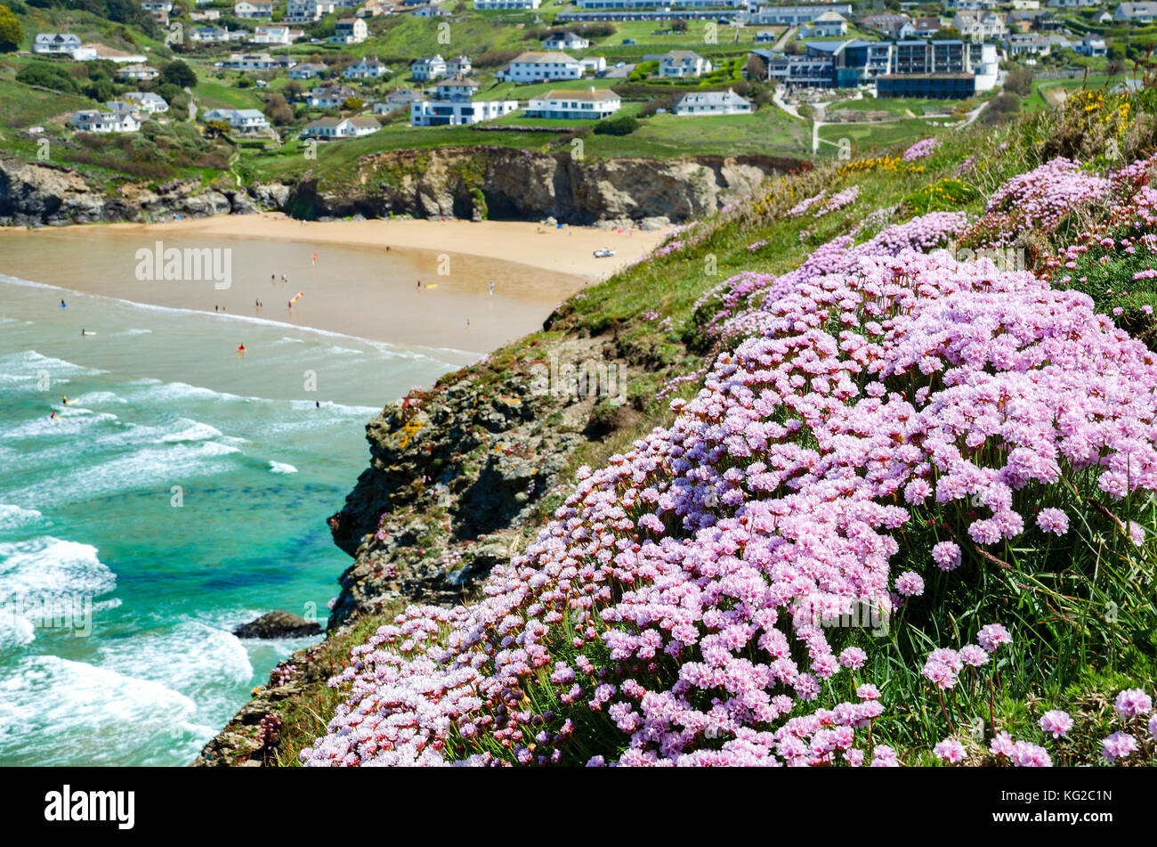spring flowers at mawgan porth in cornwall, england, uk. Stock Photo