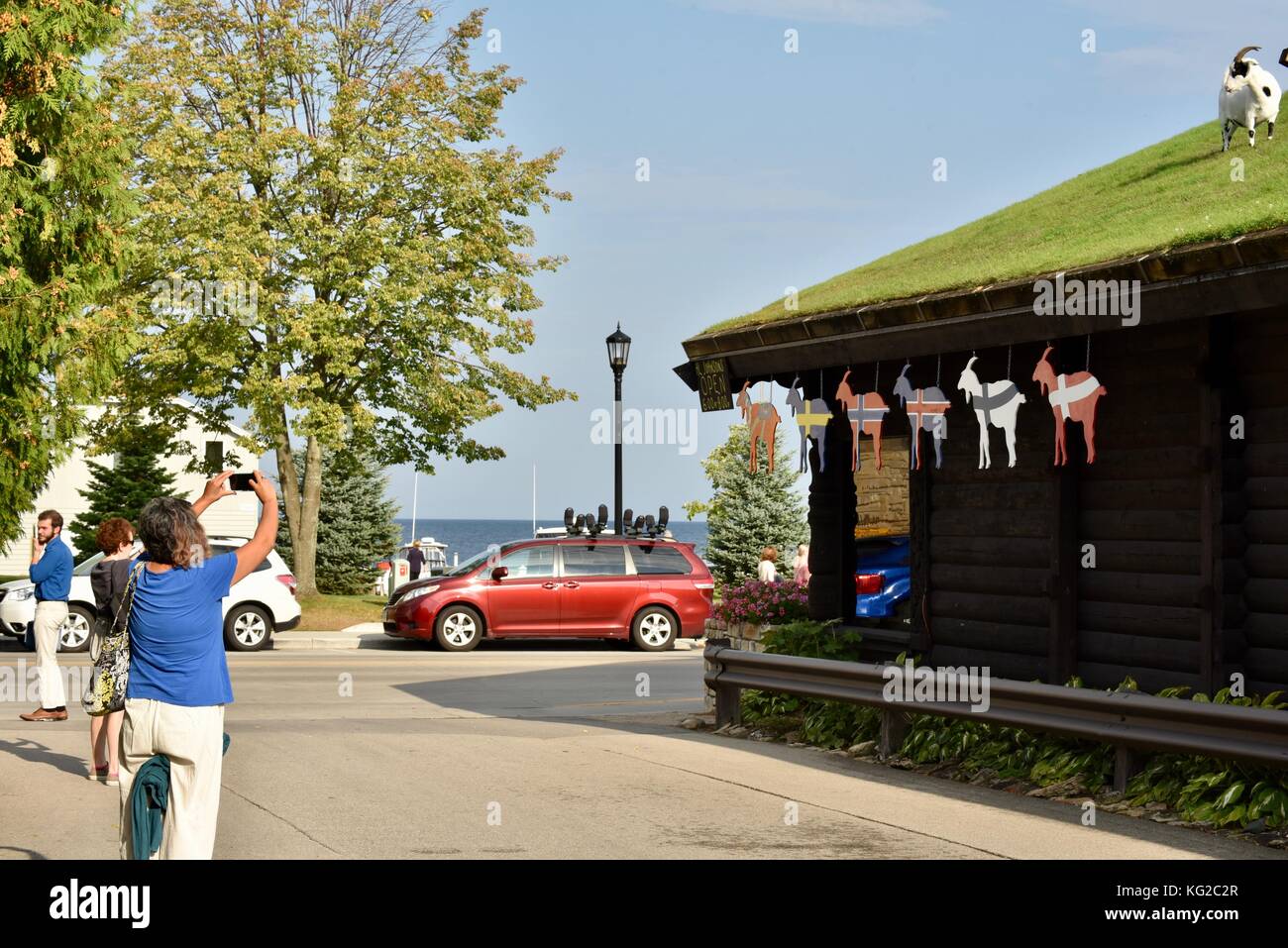 Famous Goats On The Sod Roof At Al Johnson S Swedish Restaurant In