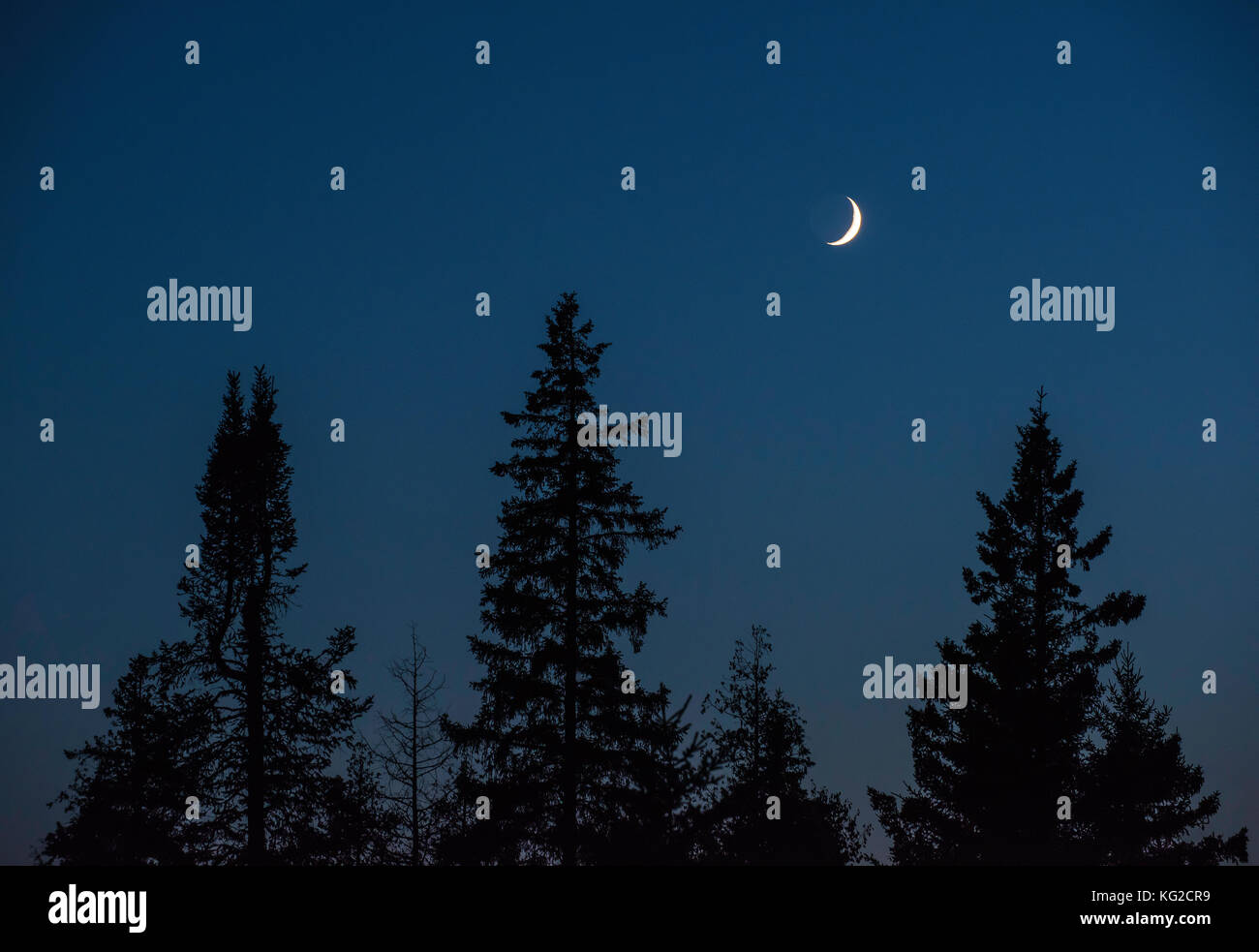 Crescent Moon at sunset, Ontario, Canada, by Bruce Montagne/Dembinsky Photo Assoc Stock Photo