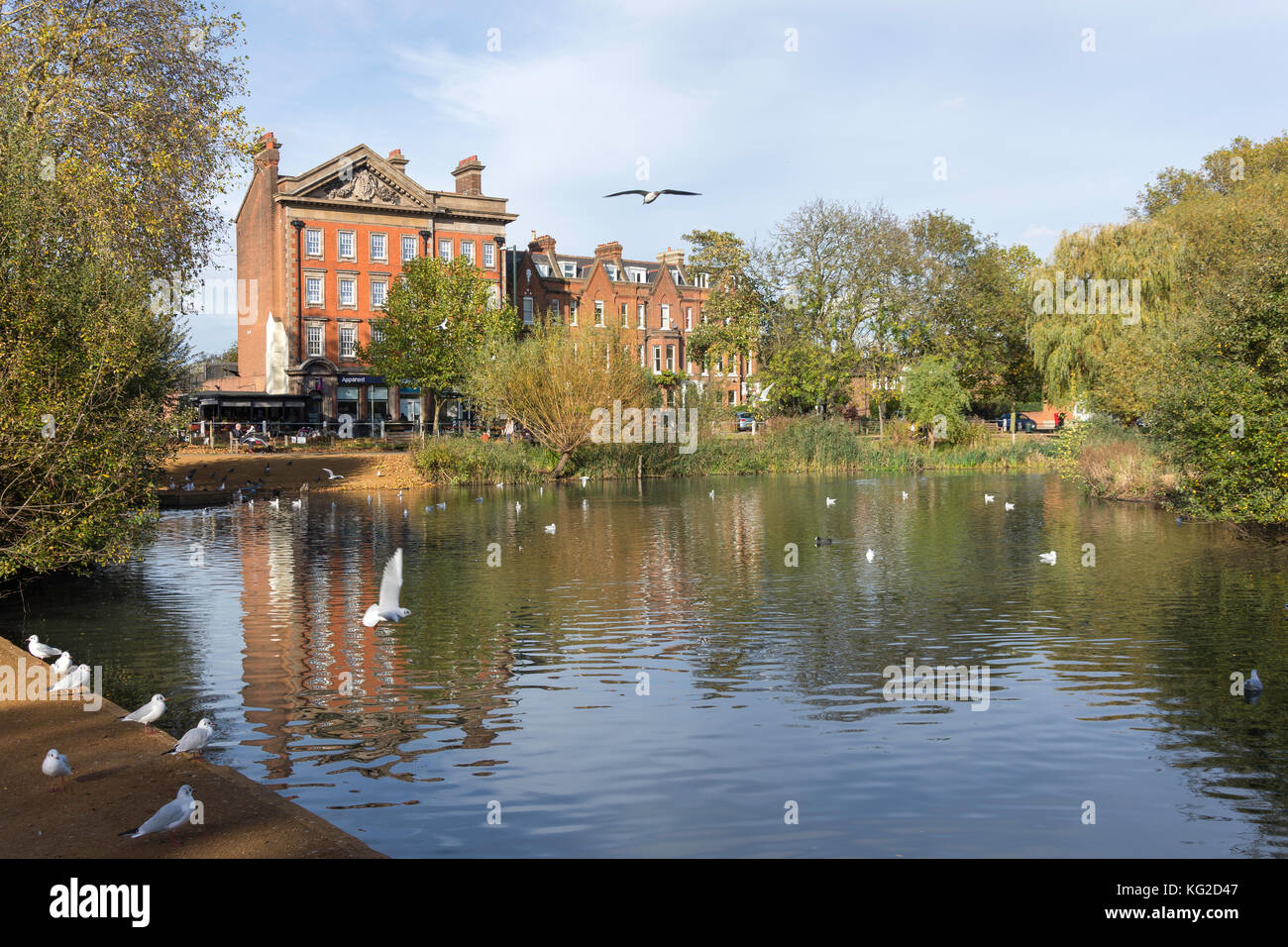 Barnes Village Pond Barnes London Borough Of Richmond Upon