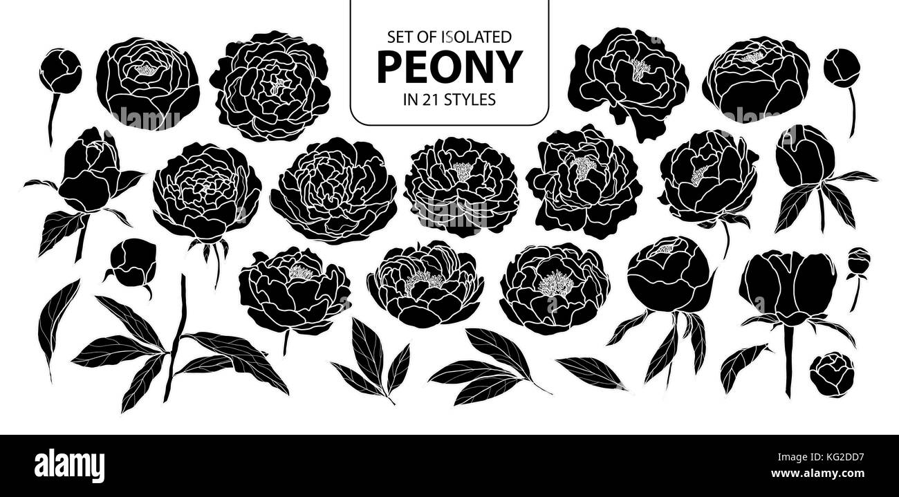 Set of isolated silhouette peony in 21 styles. Cute hand drawn flower vector illustration in white outline and black plane on black background. Stock Vector