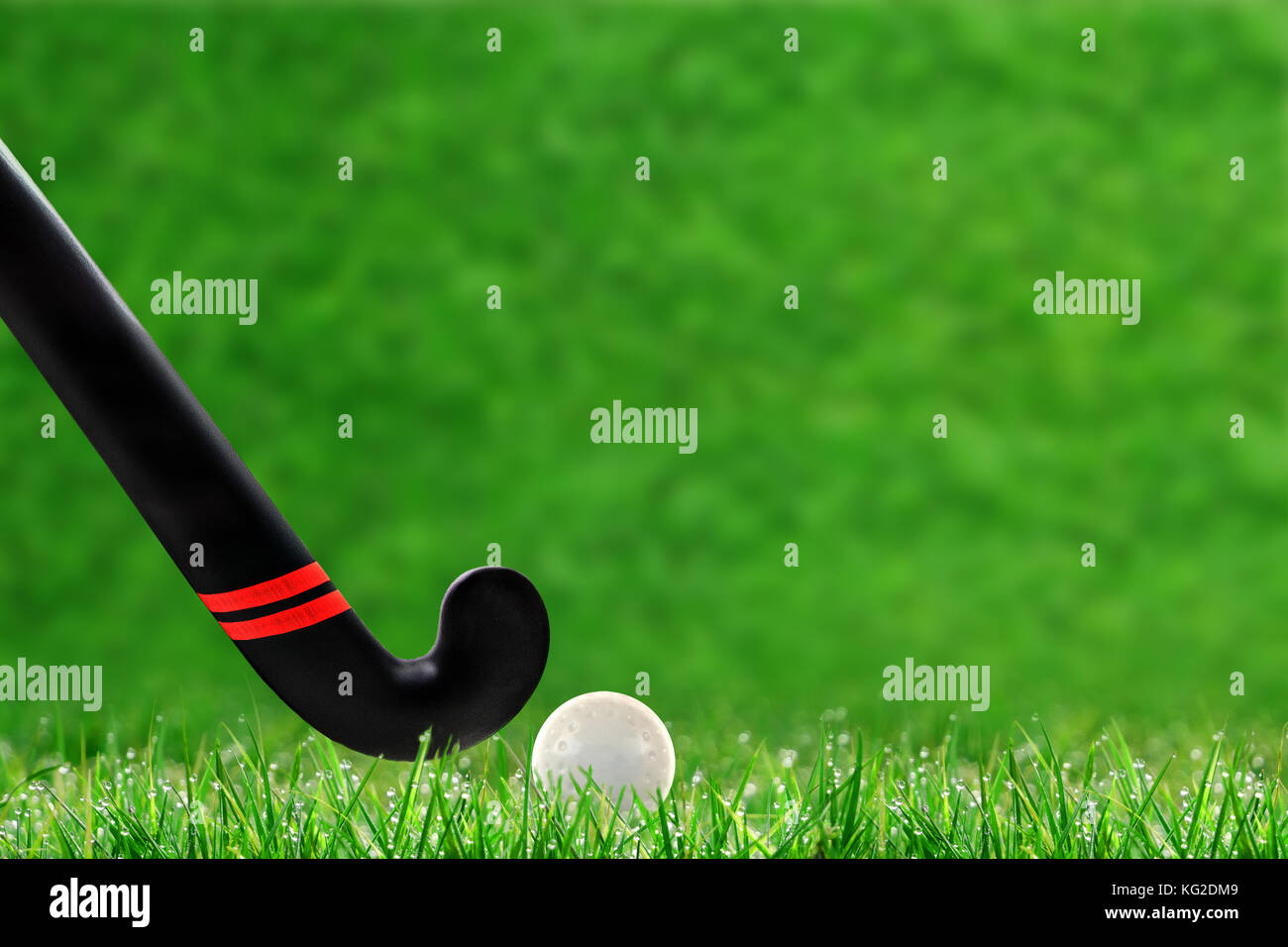 Field field hockey Stock Vector Images - Alamy