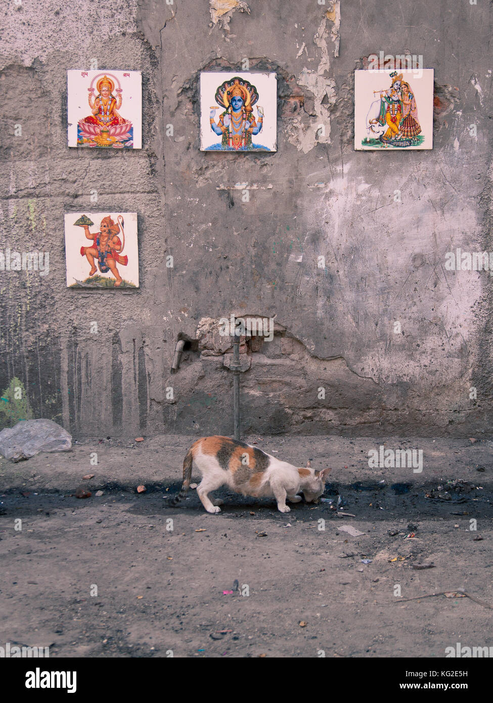 Street cat under Hindu god images Stock Photo