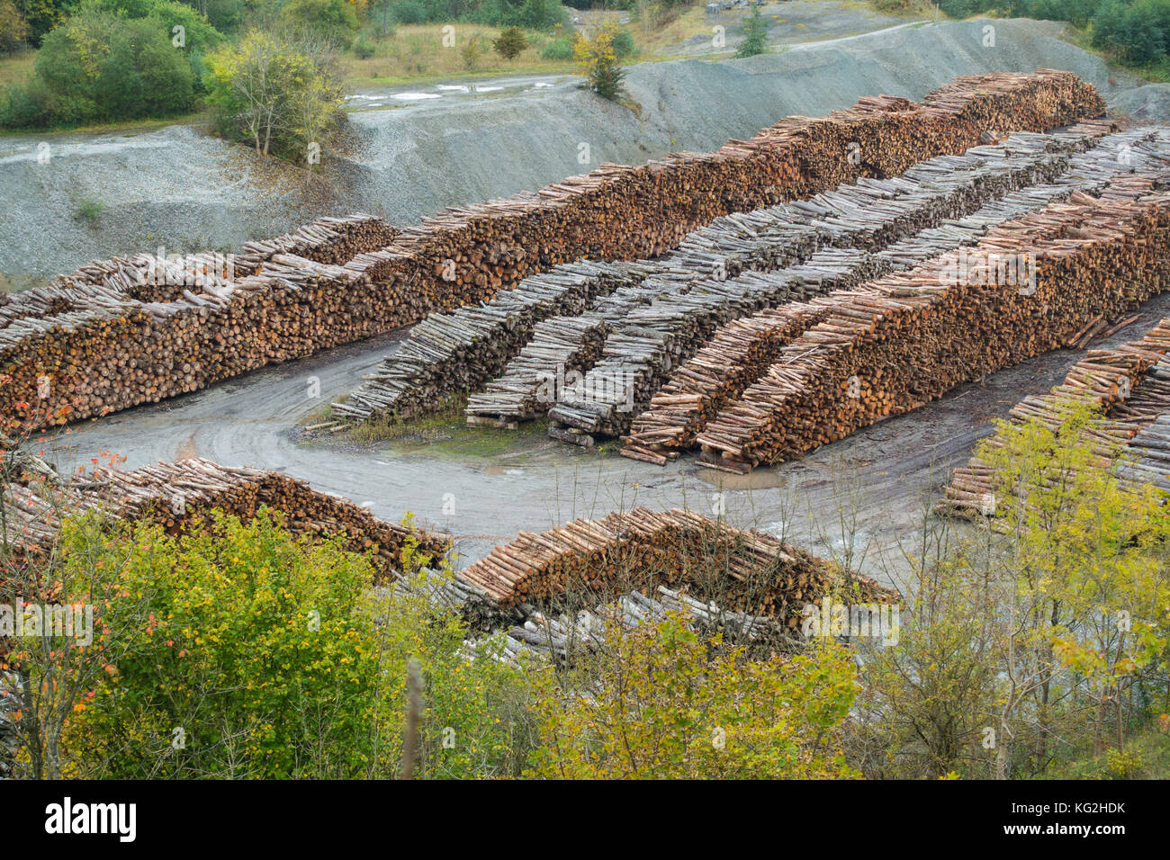 Timber piled high and carefully in a disused quarry in Shropshire Stock Photo