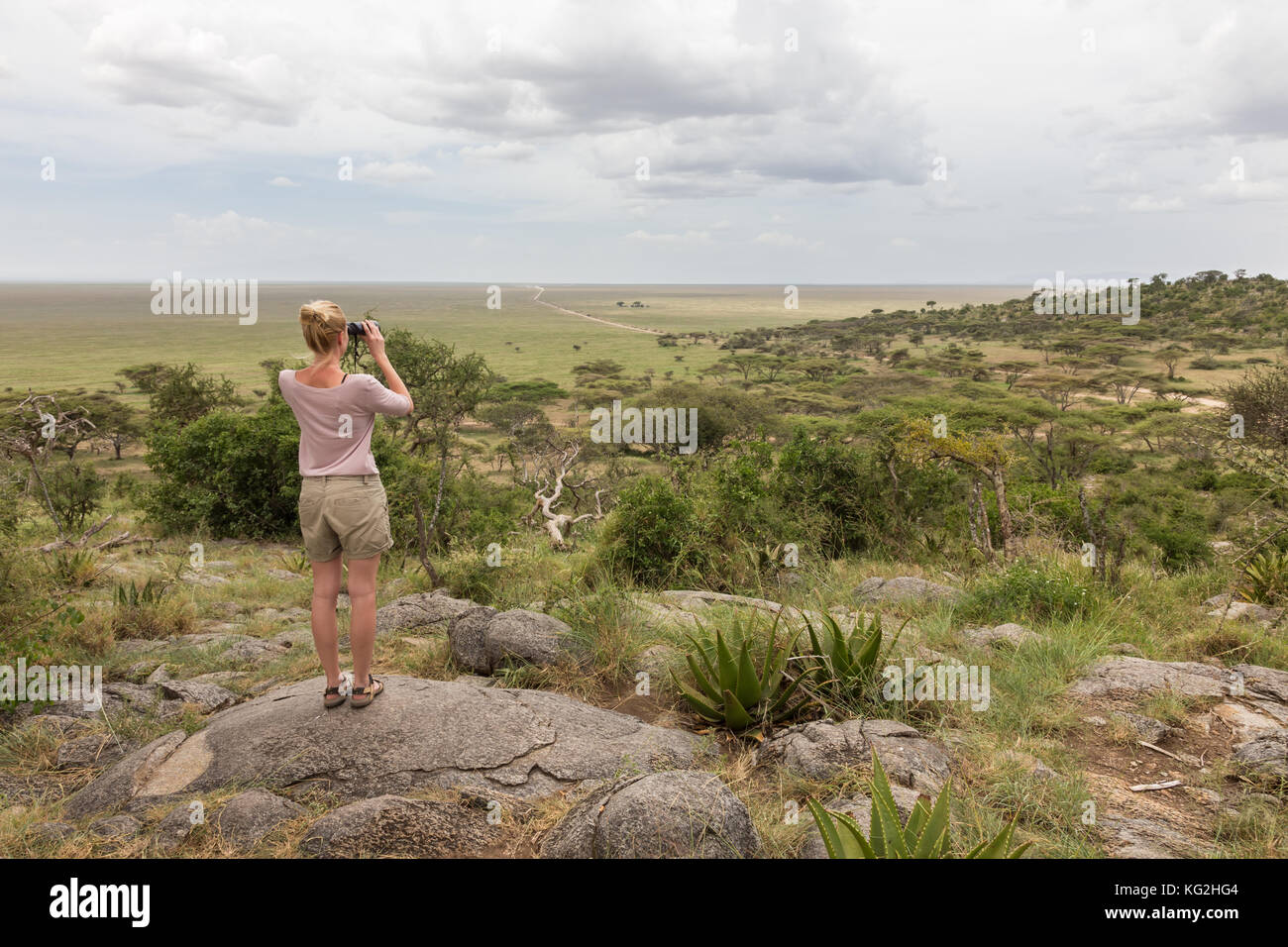 Female tourist looking through binoculars on African safari in Serengeti national park. Tanzania, Afrika. Stock Photo