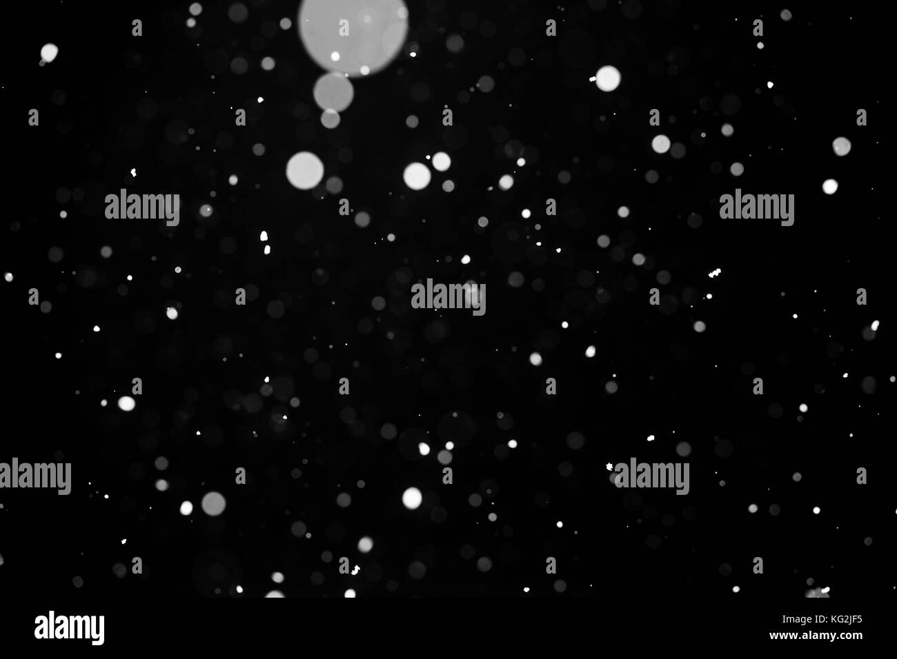 Falling snow on black background. Stock Photo