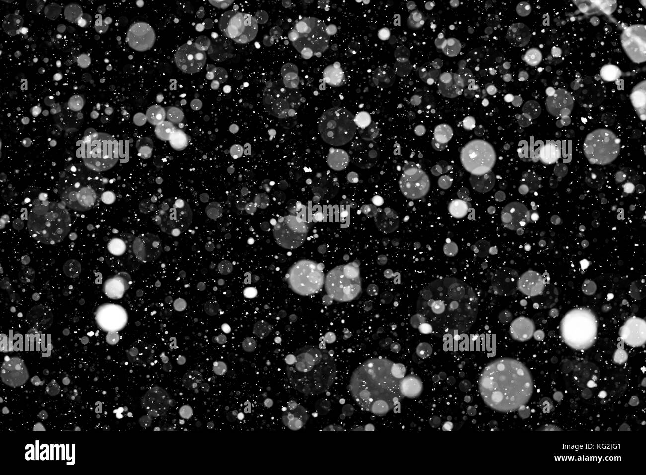 Falling snow on black background. Stock Photo