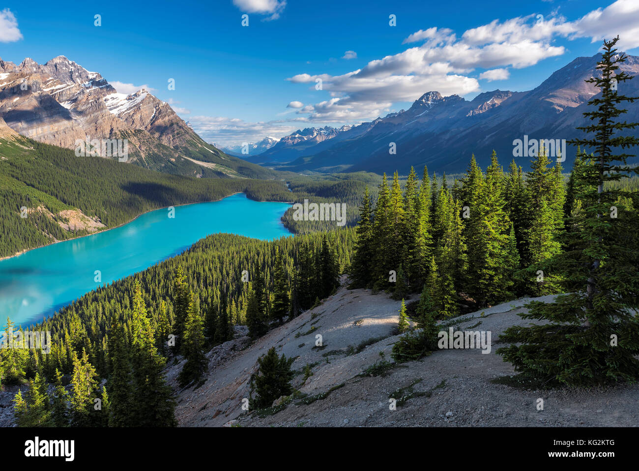 Peyto Lake in Rocky Mountains, Banff National Park, Canada Stock Photo ...