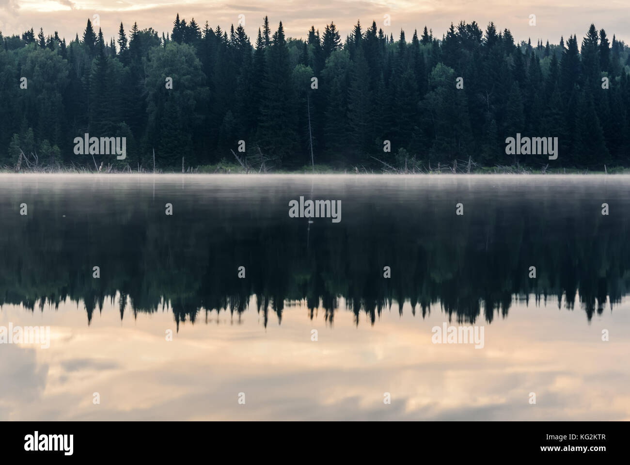 Scenic view with forest, fog and clouds reflecting in the smooth water ...